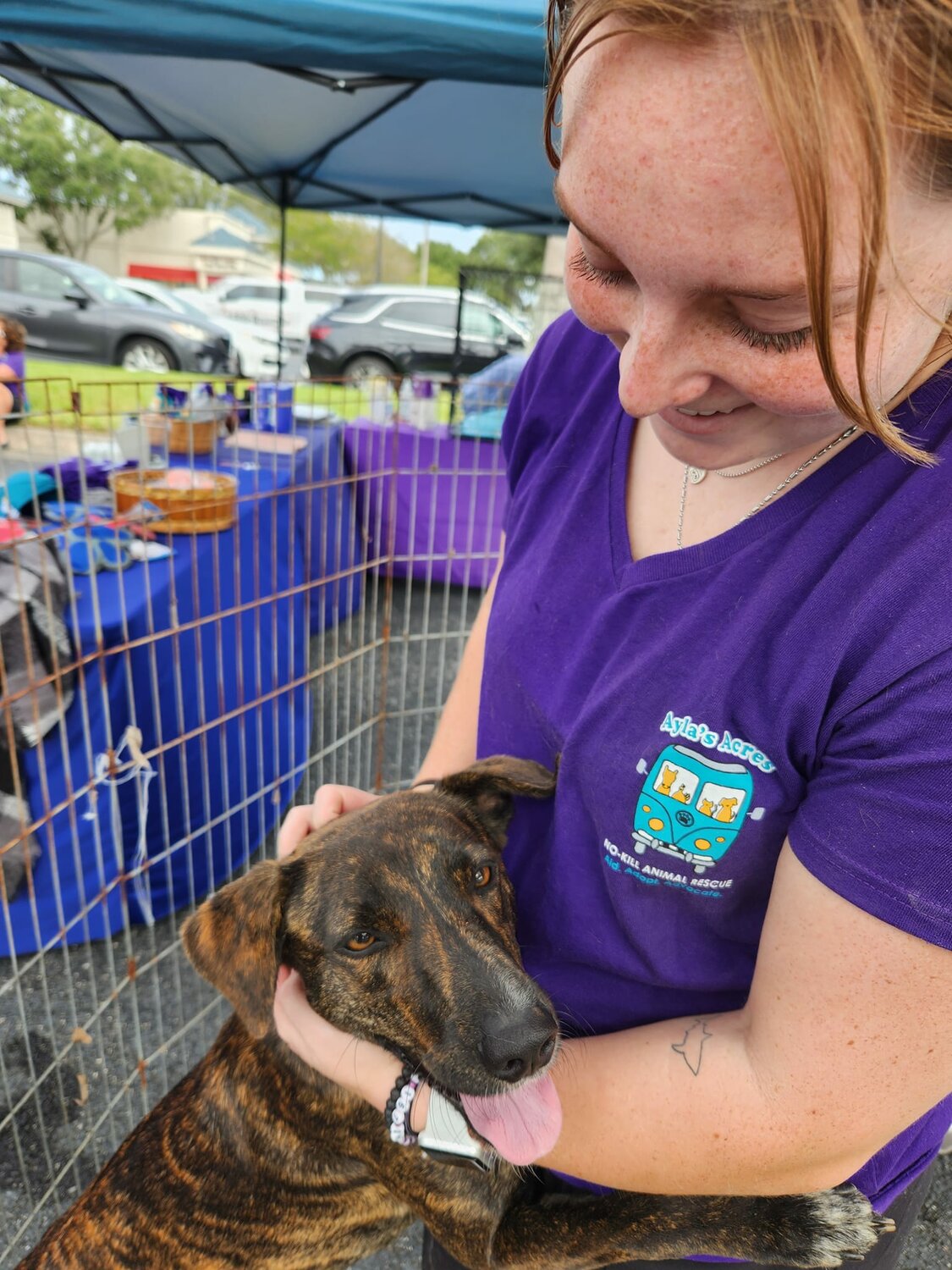 A pet adoption event was held in the Underwood Jewelers Ponte Vedra Beach location parking lot in partnership with Ayla’s Acres on Nov. 4.